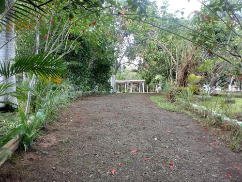 Chácara 2.500 M² - Morungava - Gravataí - Rs - 1657 - 32420178