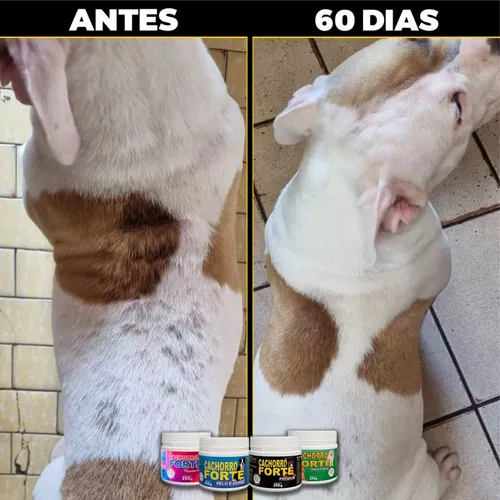 Suplemento Forte Cachorro Pet Pequenas Raças Mega Brother