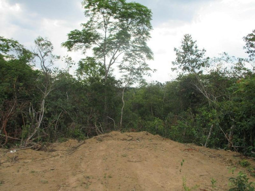 Imagem 9 de 15 de Terreno Para Venda Em Esmeraldas, Floresta Encantada - T23_1-1019445