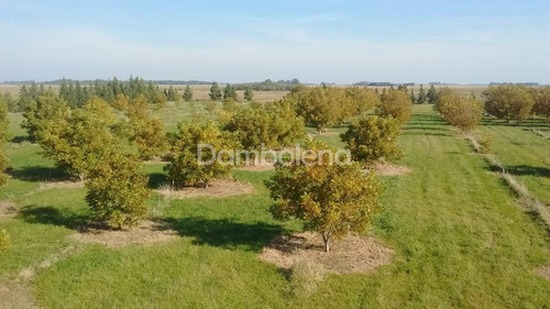 Imagen 19 de 25 de Terreno En Venta O Permuta Ubicado En Punta Indio, Resto De La Provincia
