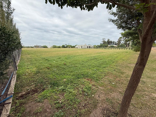 Venta De Lote En El Timbó
