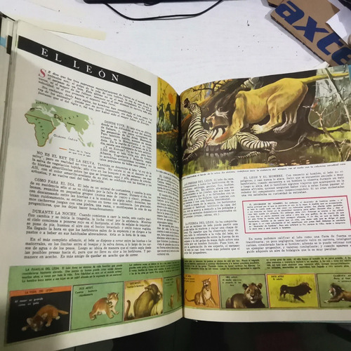 Enciclopedia Estudiantil Publex 14 Ts. En Buen Estado. 1961 (Usado)