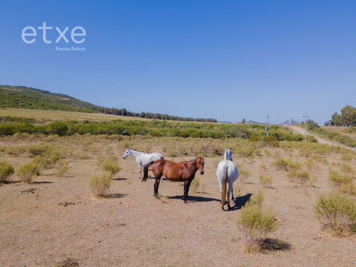 Chacra En Venta Las Sierras (ref: Jpd-1290)