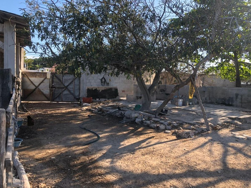 Imagen 4 de 16 de Terreno En Venta En Puerto Progreso, Yucatán