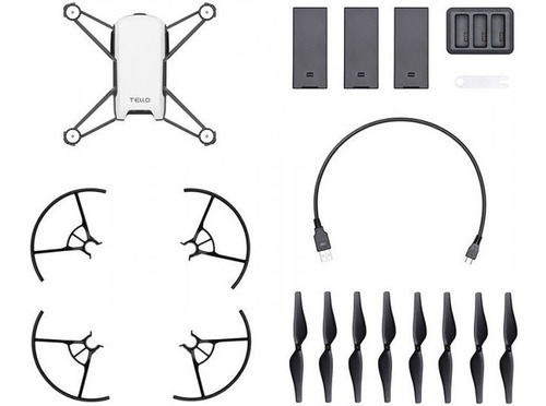 Imagen 1 de 1 de Ryze Tech Tello Boost Combo White Quadcopter Drone