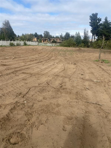 Imagen 2 de 12 de Terrenos Exclusivos Los Pinos De Reñaca/venta Sin Comisión