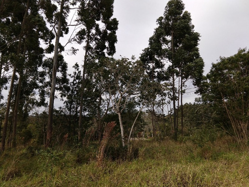 Chácara 5.000 M² - Lomba Grande - Novo Hamburgo - Rs - 1621 - 32420142