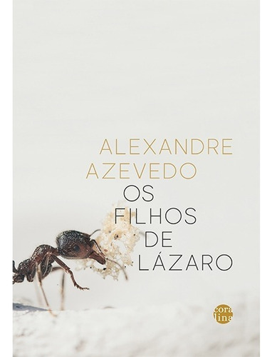 Os filhos de Lázaro, de Azevedo, Alexandre. Editora P. P. Graczcki & Cia, capa mole em português, 2021