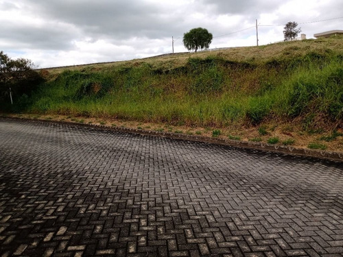 Imagem 1 de 3 de Terreno À Venda, 1107 M² Por R$ 280.000,00 - Alto Da Ponte - São José Dos Campos/sp - Te0403