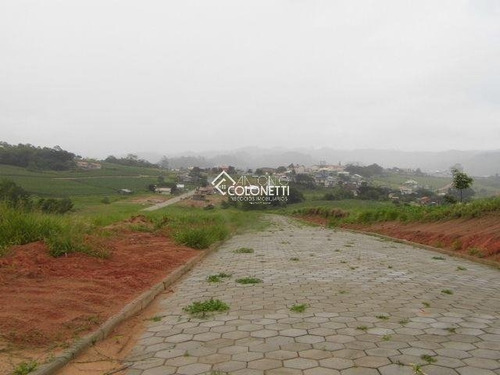 Imagem 3 de 3 de Terreno - Sangao - Ref: 1515 - V-1515