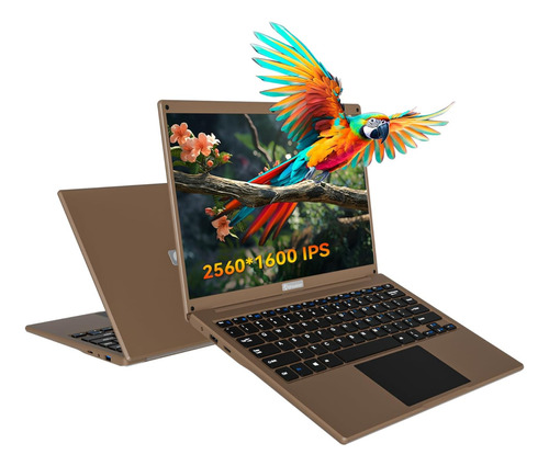 Laptop De 13.3 Win 11 Intel N4020 Qhd Ips 2560 X 1600 
