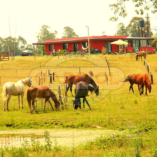 Venta De Chacra En Ruta 1, Riachuelo, Colonia Del Sacramento