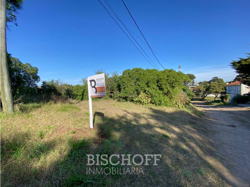 Venta De Lote En Ostende Calle Moreno