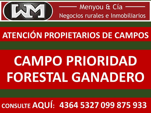 Imagen 3 de 13 de Venta Compra De Campos De 200has A 2500has Forestal Ganadero