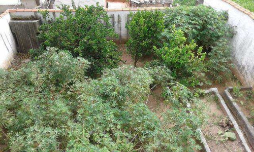 Imagem 9 de 10 de Casa Jardim Boa Vista 300 M² 4 Dorms Suíte 2 Lavabos 4 Vagas - V5731