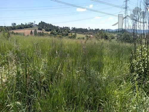 Imagem 3 de 4 de Cod 3951 - Lindo Terreno Com 11.000 M² - 3951