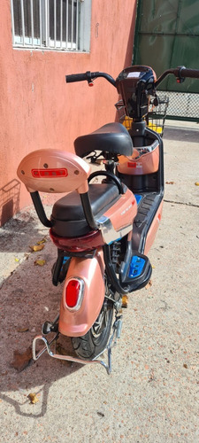 Imagen 11 de 25 de Moto Bici Triciclo Eléctrica 250 Y 350 Watt Con Garantía