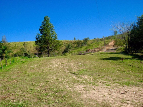 Imagem 13 de 30 de Sítio Rural À Venda, Jardim Seabra, Amparo - Si0031. - Si0031