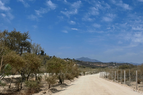 Venta Parcela Altos Del Valle Limache (171066)
