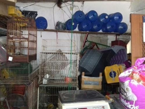 Imagem 3 de 6 de Prédio Comercial No Jardim Magalhães - Itanhaém 3457 | Sanm