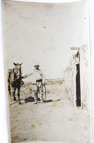 Serie Antigua 2 Fotos Campo Gaucho Con Caballo - Circa 1920 (Usado)
