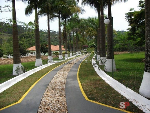 Imagem 3 de 5 de Chacara - Pouso Alegre - Ref: 21313 - V-21313
