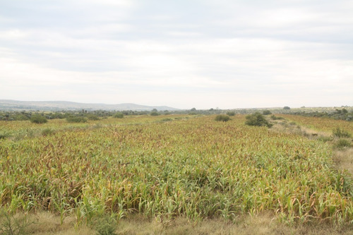 Imagen 7 de 11 de Campo Ganadero De 4100 Hectareas En San Pedro Norte, Provincia De Cordoba