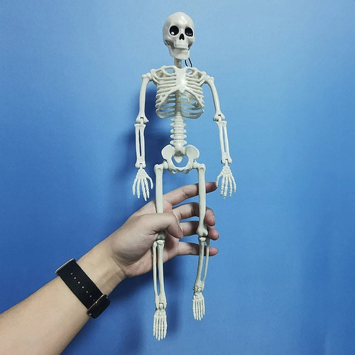 Imagen 10 de 10 de Calavera Esqueleto Estudio Medicina Halloween 40cm Alto