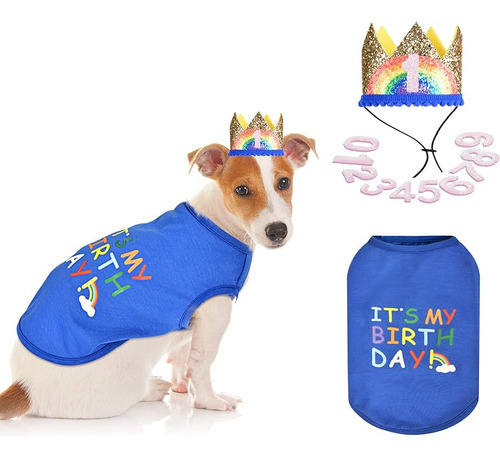 Sombrero Cumpleaños Para Perro Y Camisa Para Perro Traje Cum