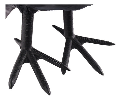 Zz Plumas De Halloween Con Forma De Pájaro Cuervo, Tamaño