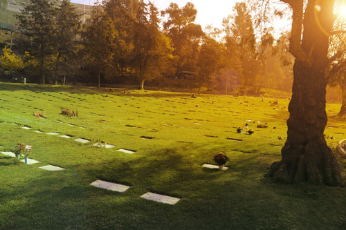 Sepultura Cementerio Parque Santiago, Sector Las Flores