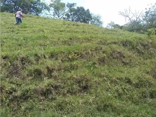 Vendo Finca Ganadera Cerca A La Cabecera De Armenia Mantequilla Ant.