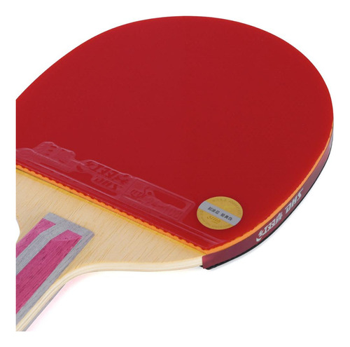 Raquete De Tênis De Mesa Dhs H4006 Classineta