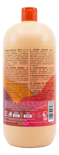 Shampoo Inebrya Color Perfect 1000ml Protección Color