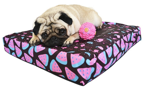 Imagen 1 de 8 de Cucha Perro Cama Para Perros 50x80 Espuma Summer Perro