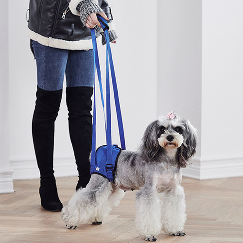 Pechera Arnés De Seguridad Cómodo Ajustable Para Mascota