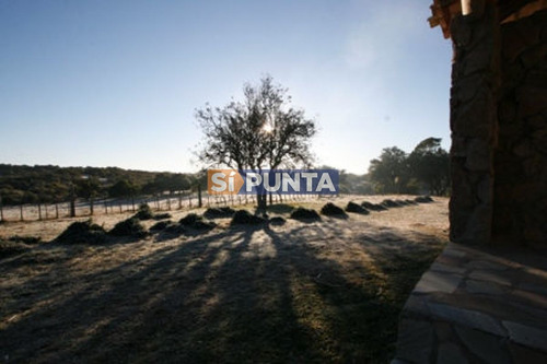 Imagen 27 de 30 de Campo Turistico Cerca De Punta Del Este