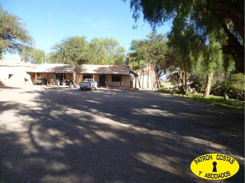 Imagen 8 de 22 de 2054hp-24000 Has Molinos Con Riego
