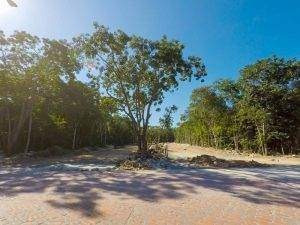 Imagen 6 de 16 de Proyecto De Lotes En Venta Tulum