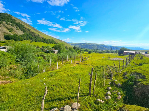 Venta Terreno 906 M2 Sobre Ruta 355, El Rincon, El Mollar