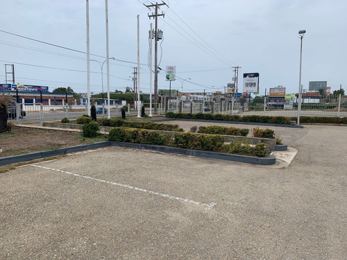 Imagen 8 de 8 de Se Vende Local Comercial 1604m² Porlamar, Nueva Esparta