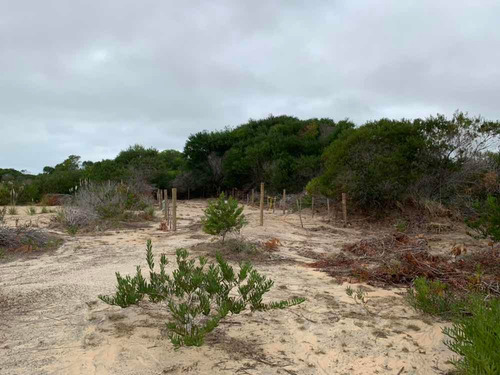 Terreno En Punta Rubia, Rocha
