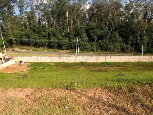 Imagem 4 de 8 de Terreno À Venda Em Residencial Jatibela - Te003278