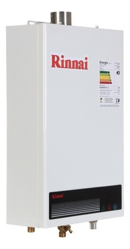Aquecedor De Água A Gás Rinnai Reu 1002 Feh Gás GN