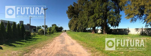 Imagen 3 de 28 de Terreno En Venta En Ibarlucea - Barrio Las Casuarinas Lote 38