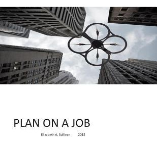 Libro Plan On A Job : Short Article On Creating Jobs That...