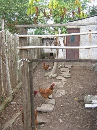 Imagem 3 de 21 de Casa Residencial À Venda, Lami, Porto Alegre. - Ca0400