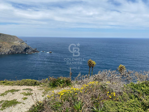 Para Proyecto De Inversión Vista Al Mar 20.000m2