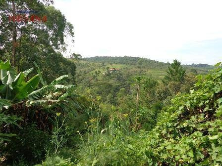 Imagem 14 de 15 de Chácara Residencial À Venda, Aldeia Ivoturucaia, Franco Da Rocha. - Ch0001