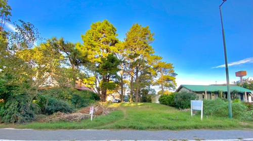 Imagen 3 de 4 de Lote Multifamiliar En Pinamar